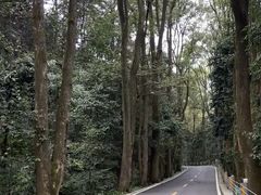 -缙云山景区