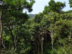 -达蓬山旅游度假区