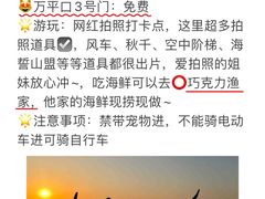 -巧克力渔家.小船海鲜胶东菜(万平口店)