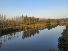 -上海长兴岛郊野公园