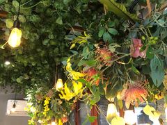 -IFIF 如果花園(宽厚里店)