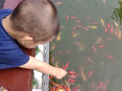 -武汉紫薇都市田园