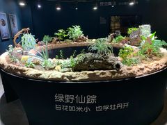 -世界地热博览园