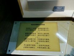 -重庆中国三峡博物馆(重庆博物馆)