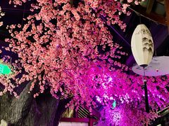 -韵秋荷(宝山龙湖天街店)
