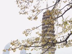 -天水蔬食料理(树德之光店)