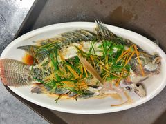 -竹语饭香·原生态农庄·烧鸡·竹筒饭·河鲜(森林海白水寨店)