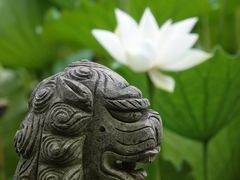 -上海醉白池公园