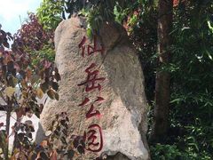 -仙岳公园