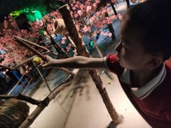 -酷嗒动物文化乐园(cutezoo西溪乐天城店)