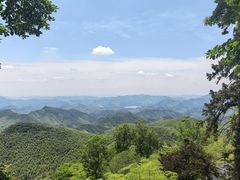 -莫干山风景区