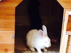 iphone_upload_pic-北京朝阳悠唐皇冠假日酒店