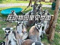 -武汉动物园