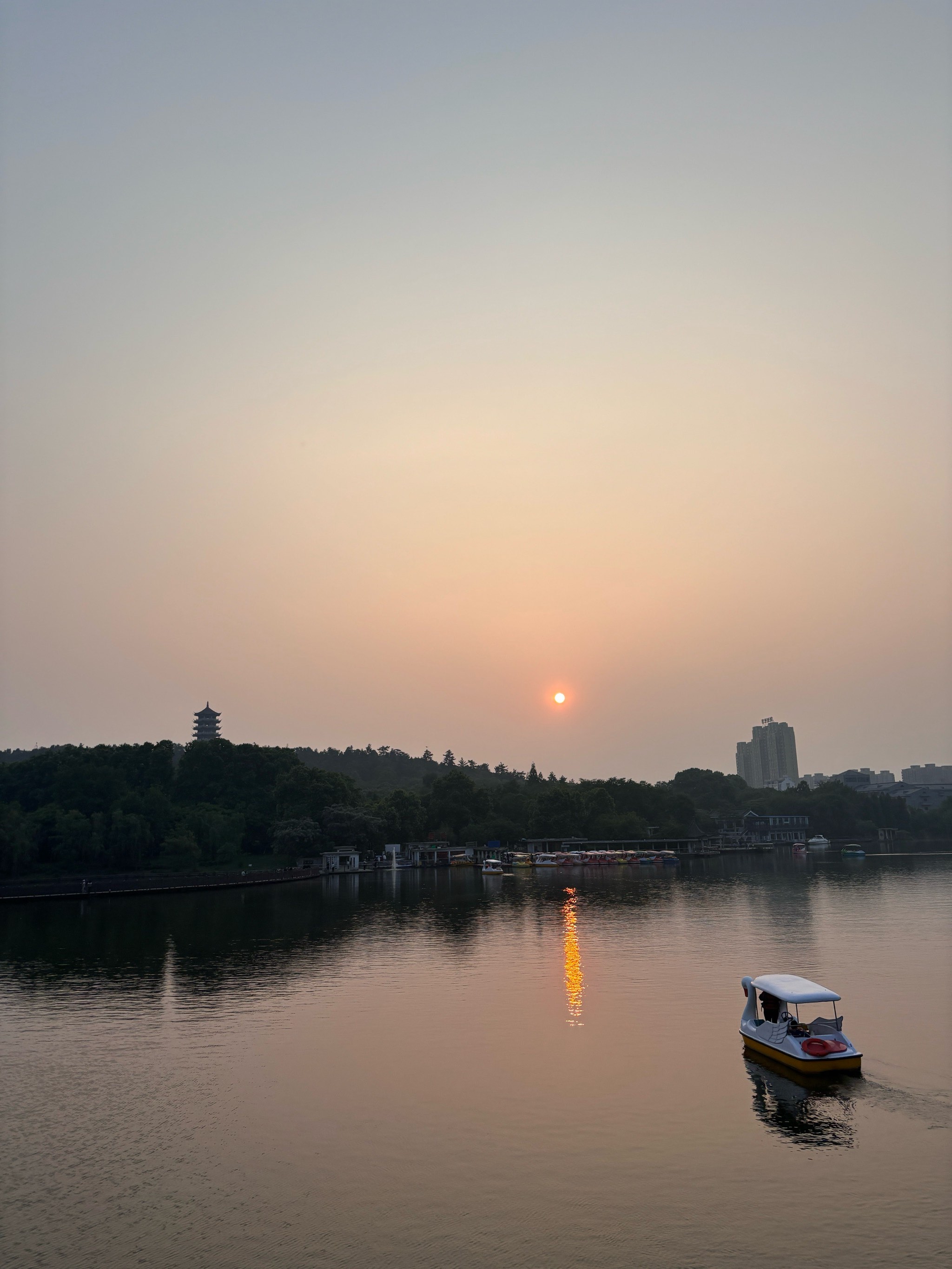 蚌埠张公山的鸡图片