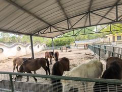 -银川动物园