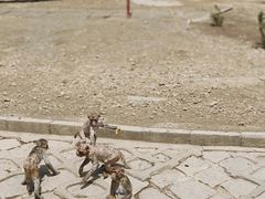 -哈尔滨北方森林动物园