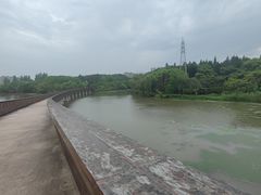 -昆山城市生态森林公园