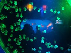 -太平洋海底世界