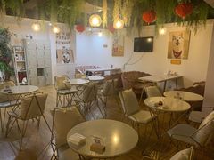 -Husky Go! 哈士奇体验馆·宠物咖啡厅狗咖