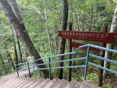 -峡谷浮石林景区