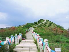 -五当召景区