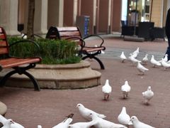 -王府井奥莱临潼小镇(临潼店)