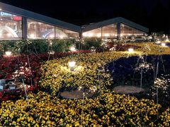 -莫子山公园