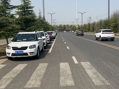 -洛阳市牡丹公园