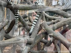 -石排湾郊野公园