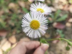 -广富林郊野公园