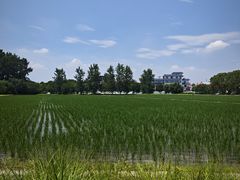 -嘉北郊野公园