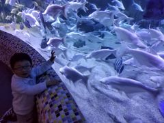 -成都浩海立方海洋公园