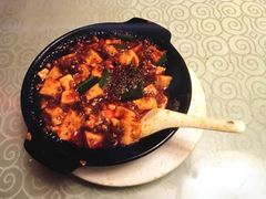 -陈麻婆豆腐总店