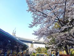 -南浦大桥长途旅游客运站