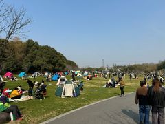 -昆山城市生态森林公园