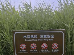 -西青郊野公园