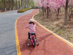 -大兴滨河森林公园