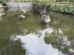 -国恩寺