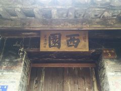 -小洲村