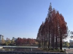 -尚贤河湿地