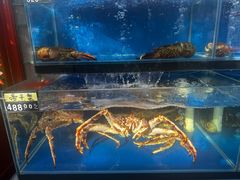 -有喜胶东小馆(太申祥和店)