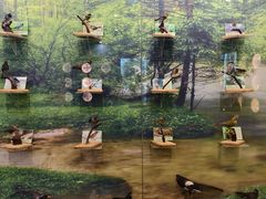 -下渚湖国家湿地公园科普馆