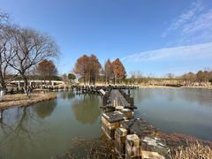 -沙家浜风景区