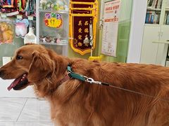 -悦宠动物医院(京丰分院)