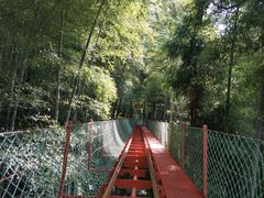 -藏龙百瀑风景区