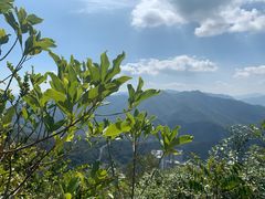 -梧桐山风景名胜区