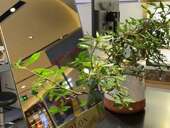 -镜客眼镜(大东方百货店)