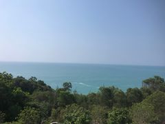 -广东惠东海龟国家级自然保护区
