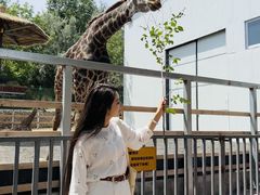 -水上乐园·欢乐世界