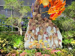 -樟宜机场购物中心